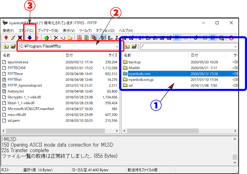 ファイル ダウンロード
