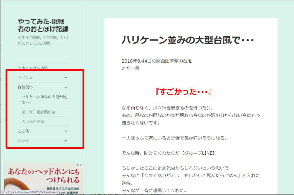 表示消す にゃんこ8 挑戦者のおとぼけ記録